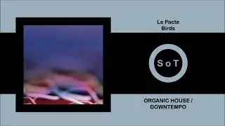 Le Pacte - Birds (Original Mix) [Organic House / Downtempo] [Amselcom]