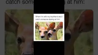 Reddit Memes Day 30 #memes #funny #redditmemes #trendingmemes #trending #meme #shorts #daily #jokes