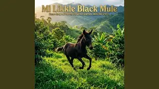 Mi Likkle Black Mule