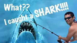I Caught a Shark!!!! What????? Fishing for Pompano and I Caught this Little Beautiful Beast!!