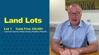 💡 Auction Insights August 2025