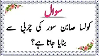 Top Islamic Questions Answers - Urdu Quiz - Islamic Paheliyan - Islami Sawal Jawab - Islamic Quiz