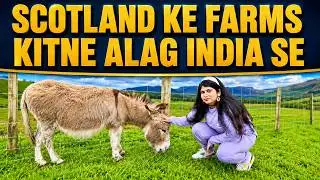 Heads of Ayr Farm Park Scotland 🐐🇬🇧 | Family Fun & Animals | Desi Vlog in Hindi