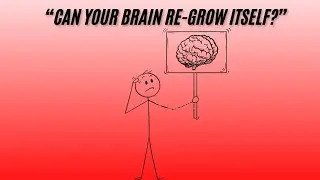 &ldquo;Can Brain Cells Regenerate?