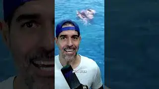 PEIXE-ESPADA ATACA HOMEM NO MAR. SER&Aacute;? | Pidobiologia