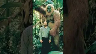 World's Biggest Monkey 🐒🤯#shorts