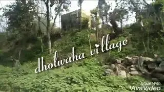 dholwaha village/hoshiarpur district