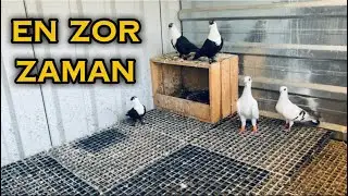 HANGİ BİRİNE YETİŞİCEM BİLMİYORUM ! Zor zaman 