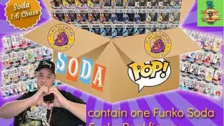 Plastic Empire Funko Soda & Pop Mystery Boxes!!