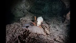 Turtle Cave in Sipadan - Scuba Diving Borneo