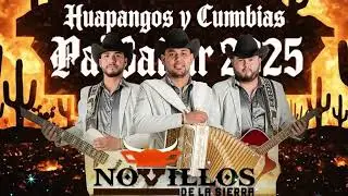 Nuevo Mix 2025 ⚡ Los Novillos de la Sierra 🔥 Corridos Sierreños Inéditos 💃