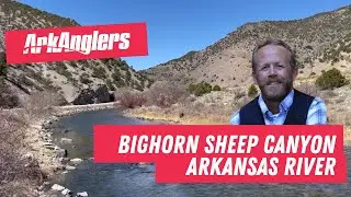 ArkAnglers Arkansas River Fishing Report from Bighorn Sheep Canyon below Salida, Colorado
