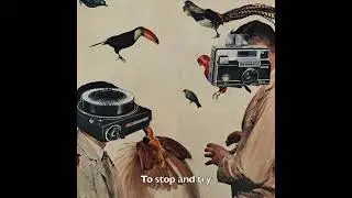 Stars - Sleepy Soul (Official Lyric Video)