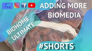 ⚠️ ADDING MORE BIOMEDIA TO THE DISCUS TANK - BIOHOME - #SHORTS