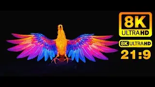 [21:9] Birds of the Wild &ndash; A Cinematic Exploration in 8K UHD