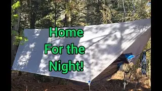 Spring Hammock Camp