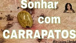 Sonhar com CARRAPATOS🤔 Mission&aacute;ria Luciana Liberdade#sonhos#espiritualidade#f&eacute;#carrapatos#viral#deus
