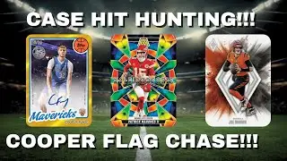 HUGE CARD HUNT!!! CASE HIT AND COOP CHASE!!!