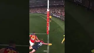 Petty Saves A Goal #shorts #afl #holdingthebull #footy