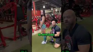 Seated Leg Curl MISTAKE #legcurls #hamstrings #shorts