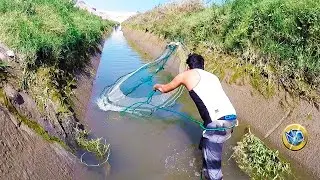☑️ PESCANDO en canal de regad&iacute;o !!