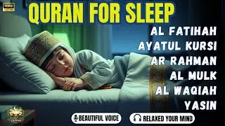 Quran Recitation in A Peaceful Voice I Alfatiha, Ayat Kursi, Yasin, Ar rahman, AlWaqiah | Alaa Yaser