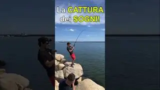 BIG FISH! La pesca &egrave; anche QUESTA 💔  #fishing #mare #shorts #pesca #pescadaterra #pescare #bigfish