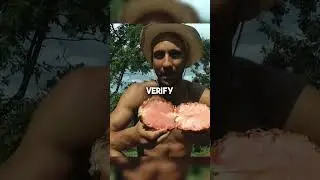 The TRUTH About Pink Pineapples