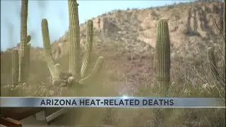 At least 6 heat-related deaths reported in metro Phoenix so far this year as high hits 115 degrees