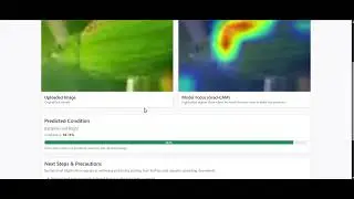 MULTI -CROP DISEASE DETECTION USING VIT+SWIN