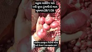 આજે નવી સુપર ડુંગળીનો ભાવ ₹300 રૂપિયા પુરા 😱 Red Onion Market Price Today #shorts #onion#agriculture