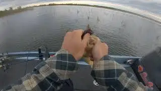 Lake Erie Largemouth - Fall Frog Fishing