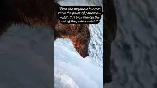 Take a look at how this bear catches its prey! #amazinganimals #animalday #animalswithcameras