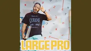 Large Professor Of Main Source