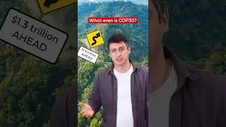 Что такое COP30?