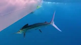 2025 fishing recap