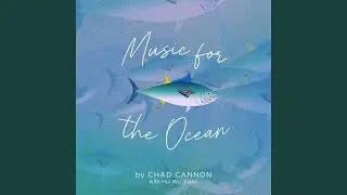Dorado (Mahi Mahi) Flying Fish Chase