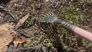 Cleaning up the garden. Preparing for Spring 🌼