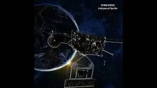 FLYING SPECIES - Underground Opacifier (industrial trip-hop)
