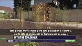 Reportaje Phytorem HD