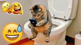 You Laugh You Lose 🤣 Funniest Cats and Dogs 2026🐕😺 Part 15