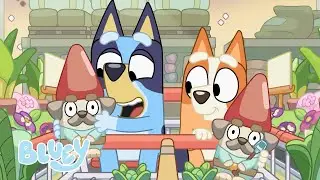 Hammerbarn | Bluey Espa&ntilde;ol Canal Oficial