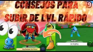 CONSEJOS PARA SUBIR, EVOLUCION BRAIRONTS