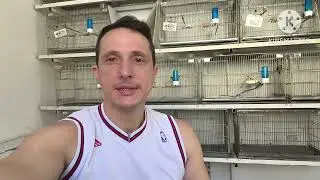 Parando de criar Tiziu em 2026 ??? 