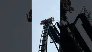 The screams on #Oblivion at #altontowers never get old | #rollercoaster #themepark #familyvlog