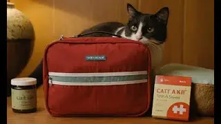 How to Create the Ultimate Cat First-Aid Kit!