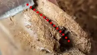 Super stress-relieving donkey hoof cutting collection丨ASMR丨Donkey hoof cutting sound