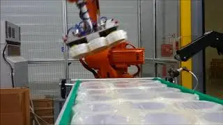 FEBA Fully Automatic Slitter-Rewinder with Packaging & Palletizing Line