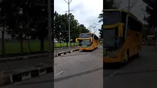 ТУРИСТИЧЕСКИЙ АВТОБУС БИАНТАРА 🙋🎺🎶‼️ #busmania #туристическийавтобус #basuri #telolet