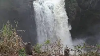 Victoria Falls Walk